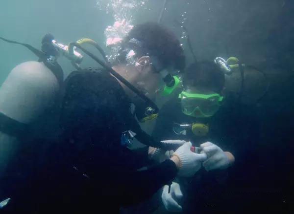 五分钟读懂潜水员如何进行水下救援